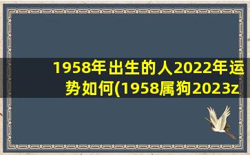 1958年出生的人2022年运势如何(1958属狗2023zui
危险的几个 🐈 月 🌷 )